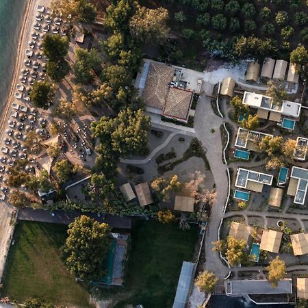 Ergon Beach House Nikiti Εξωτερικό φωτογραφία
